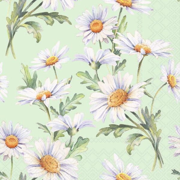 Hovedbilde Margeritter, kaffeservietter